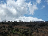 iara Scorciavacca-20110306 038